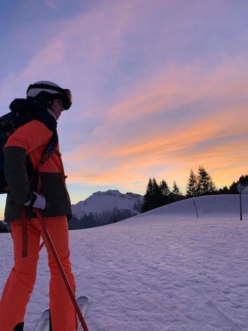 Androsace Appartement Dans Chalet Bois Avec Jacuzzi Privatif Terrasse Et Vue Montagne Les Villards-sur-Thones Bagian luar foto