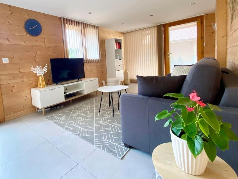 Androsace Appartement Dans Chalet Bois Avec Jacuzzi Privatif Terrasse Et Vue Montagne Les Villards-sur-Thones Bagian luar foto
