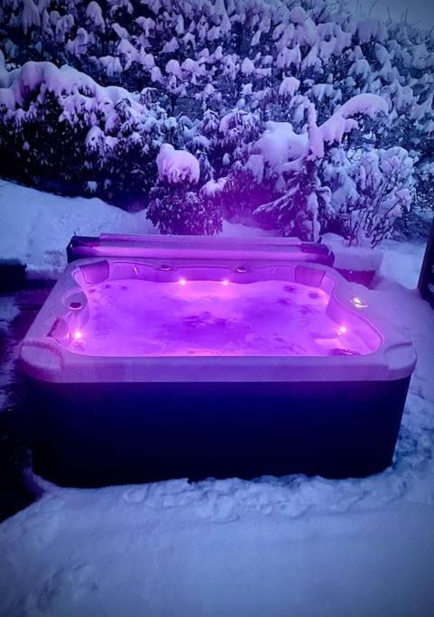 Androsace Appartement Dans Chalet Bois Avec Jacuzzi Privatif Terrasse Et Vue Montagne Les Villards-sur-Thones Bagian luar foto